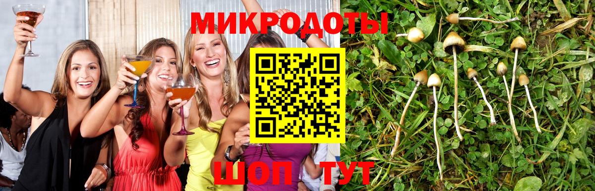 Псилоцибиновые грибы Magic Shrooms  Псилоцибиновые грибы Psilocybe  Вход с VPN  Городец 