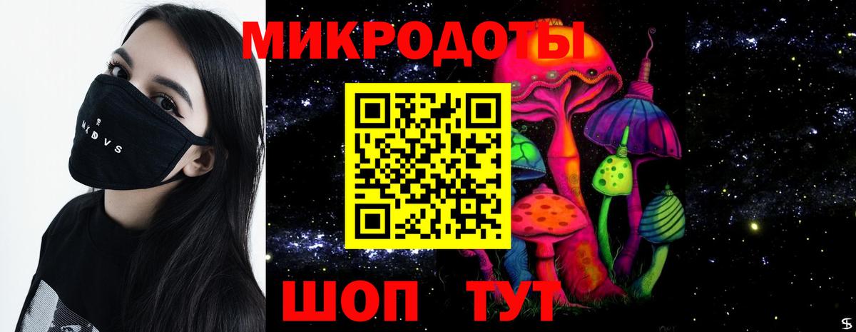 Псилоцибиновые грибы Cubensis Городец